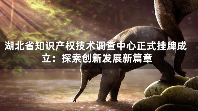 湖北省知识产权技术调查中心正式挂牌成立：探索创新发展新篇章