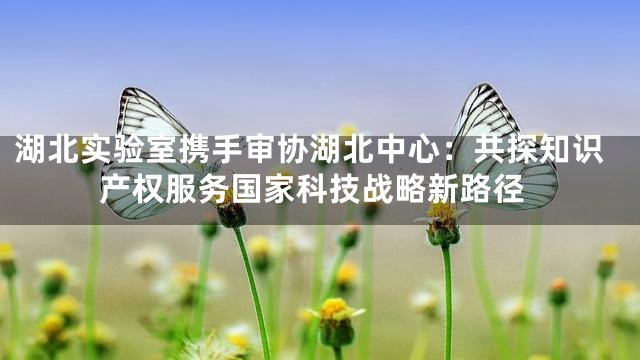 湖北实验室携手审协湖北中心：共探知识产权服务国家科技战略新路径