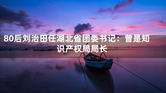 80后刘治田任湖北省团委书记：曾是知识产权局局长