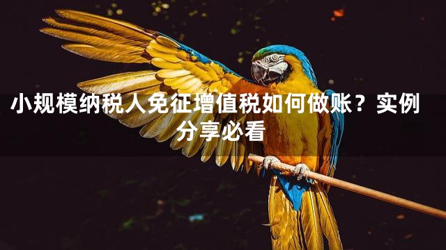 小规模纳税人免征增值税如何做账？实例分享必看