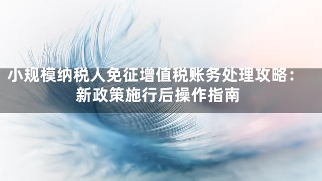 小规模纳税人免征增值税账务处理攻略：新政策施行后操作指南