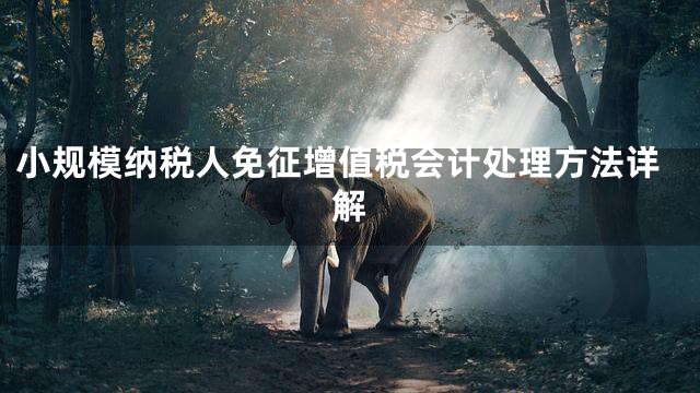 小规模纳税人免征增值税会计处理方法详解