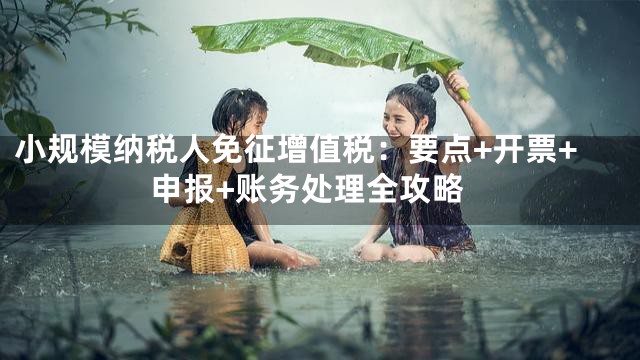 小规模纳税人免征增值税：要点+开票+申报+账务处理全攻略
