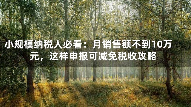 小规模纳税人必看：月销售额不到10万元，这样申报可减免税收攻略
