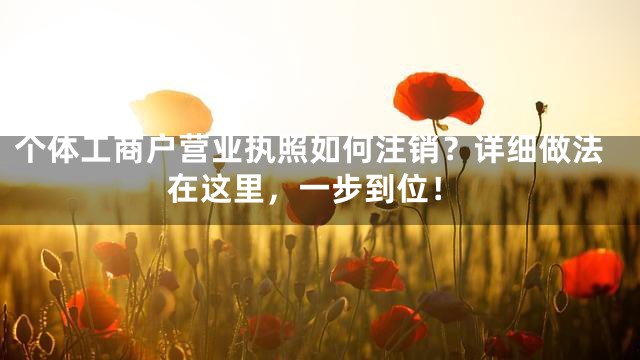 个体工商户营业执照如何注销？详细做法在这里，一步到位！