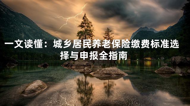 一文读懂：城乡居民养老保险缴费标准选择与申报全指南