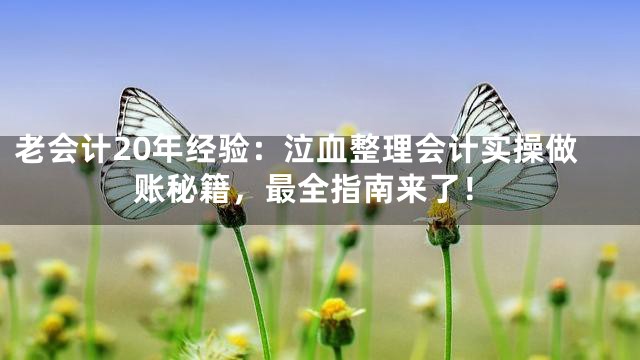 老会计20年经验：泣血整理会计实操做账秘籍，最全指南来了！