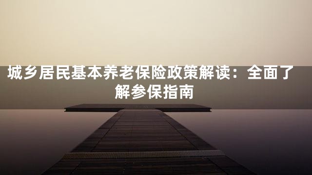 城乡居民基本养老保险政策解读：全面了解参保指南