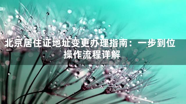 北京居住证地址变更办理指南：一步到位操作流程详解