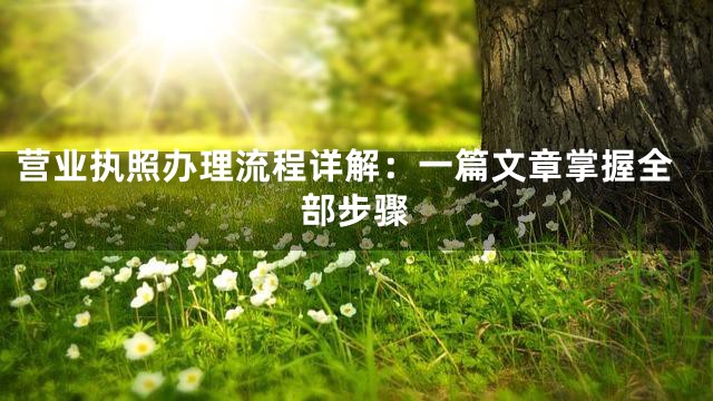 营业执照办理流程详解：一篇文章掌握全部步骤
