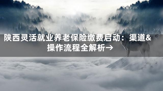 陕西灵活就业养老保险缴费启动：渠道&操作流程全解析→