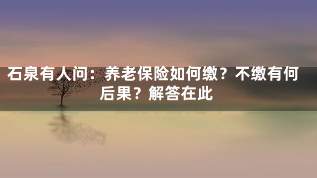 石泉有人问：养老保险如何缴？不缴有何后果？解答在此