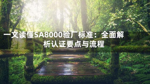 一文读懂SA8000验厂标准：全面解析认证要点与流程