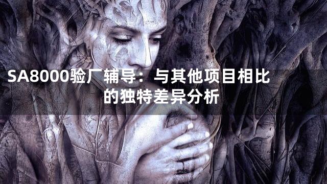 SA8000验厂辅导：与其他项目相比的独特差异分析