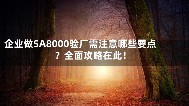 企业做SA8000验厂需注意哪些要点？全面攻略在此！