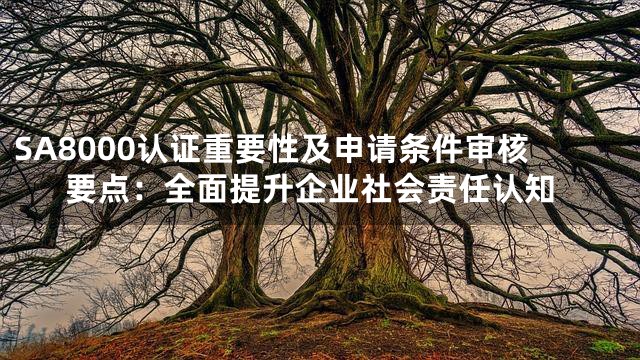SA8000认证重要性及申请条件审核要点：全面提升企业社会责任认知