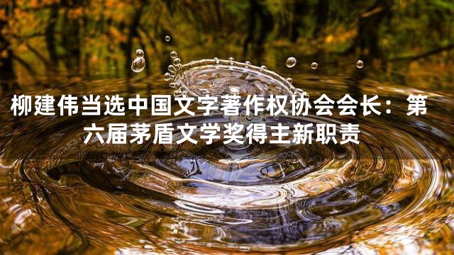 柳建伟当选中国文字著作权协会会长：第六届茅盾文学奖得主新职责