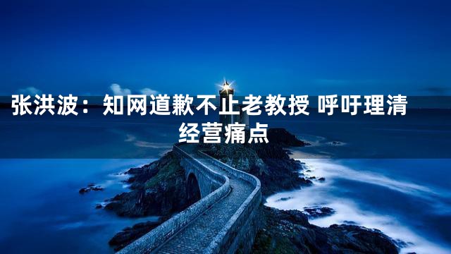 张洪波：知网道歉不止老教授 呼吁理清经营痛点