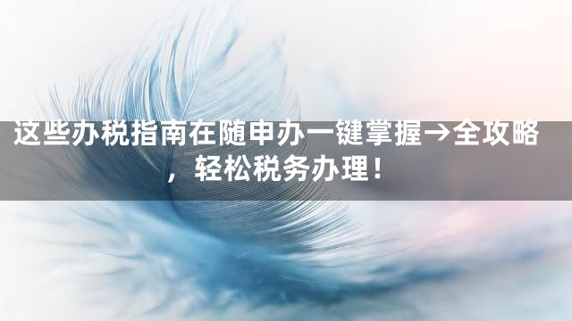 这些办税指南在随申办一键掌握→全攻略，轻松税务办理！