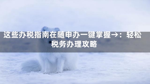 这些办税指南在随申办一键掌握→：轻松税务办理攻略