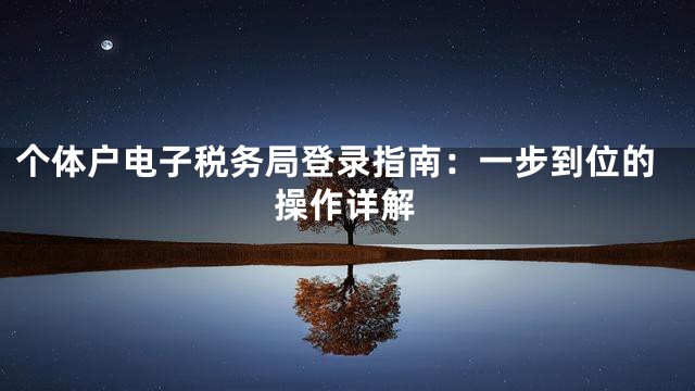 个体户电子税务局登录指南：一步到位的操作详解