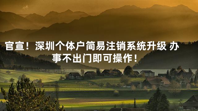 官宣！深圳个体户简易注销系统升级 办事不出门即可操作！