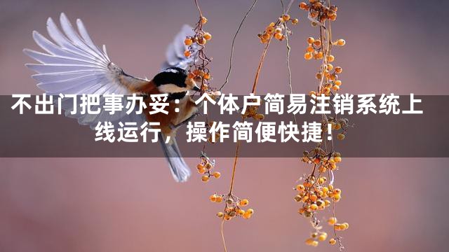 不出门把事办妥：个体户简易注销系统上线运行，操作简便快捷！