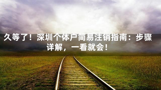久等了！深圳个体户简易注销指南：步骤详解，一看就会！