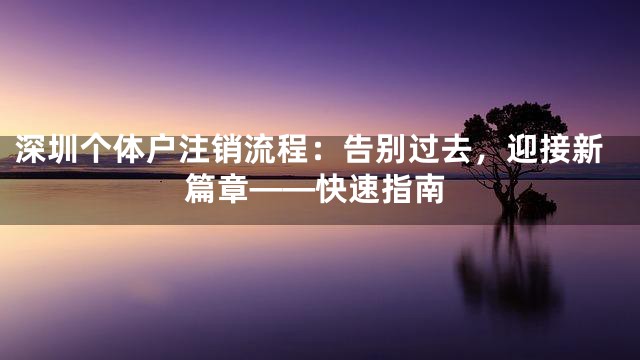 深圳个体户注销流程：告别过去，迎接新篇章——快速指南