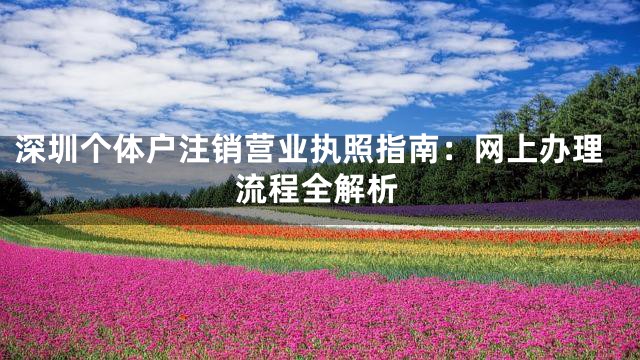 深圳个体户注销营业执照指南：网上办理流程全解析