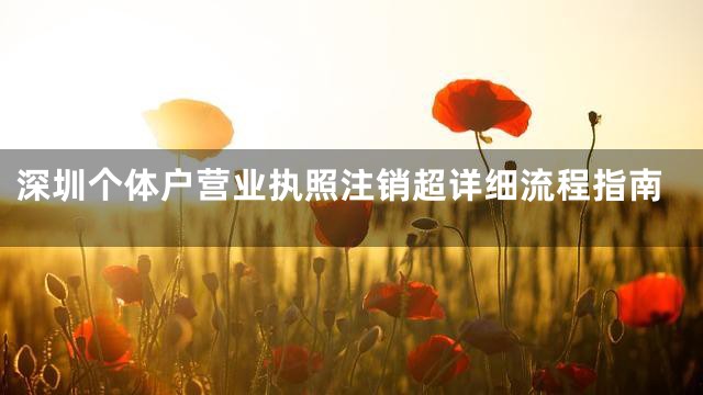 深圳个体户营业执照注销超详细流程指南