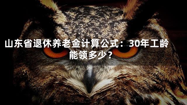 山东省退休养老金计算公式：30年工龄能领多少？