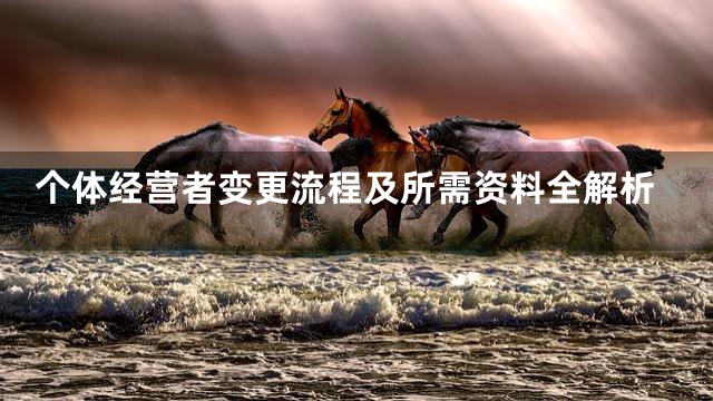 个体经营者变更流程及所需资料全解析