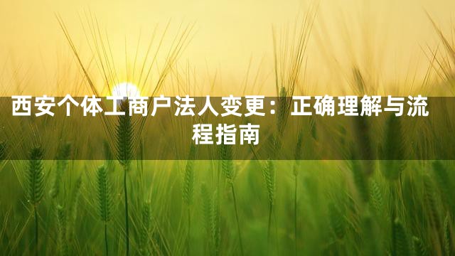 西安个体工商户法人变更：正确理解与流程指南