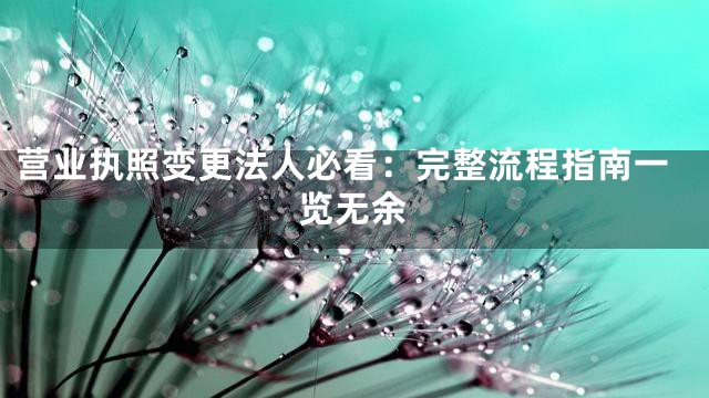 营业执照变更法人必看：完整流程指南一览无余