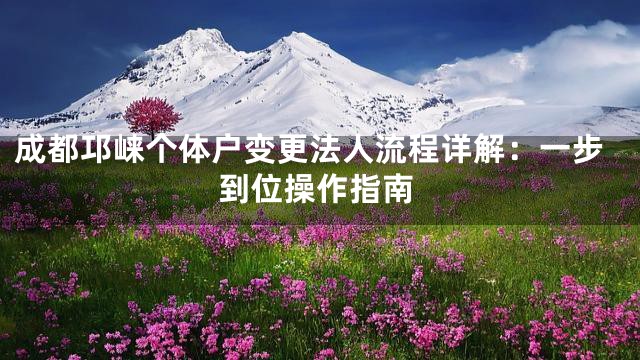 成都邛崃个体户变更法人流程详解：一步到位操作指南