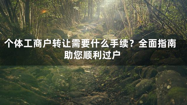 个体工商户转让需要什么手续？全面指南助您顺利过户
