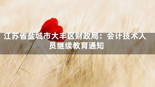 江苏省盐城市大丰区财政局：会计技术人员继续教育通知
