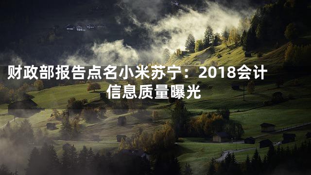财政部报告点名小米苏宁：2018会计信息质量曝光