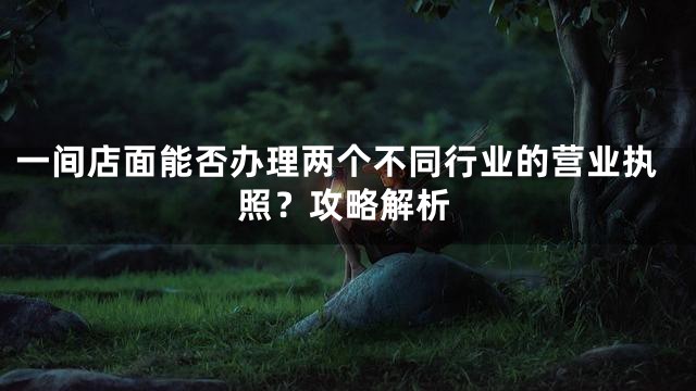 一间店面能否办理两个不同行业的营业执照？攻略解析