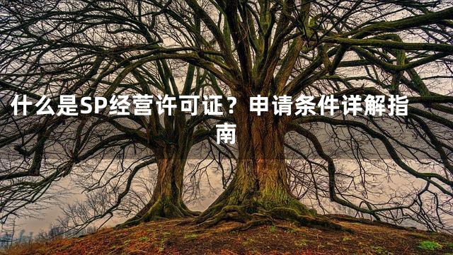 什么是SP经营许可证？申请条件详解指南