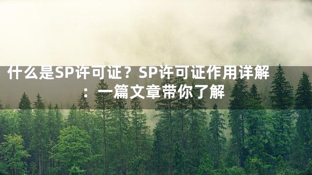 什么是SP许可证？SP许可证作用详解：一篇文章带你了解