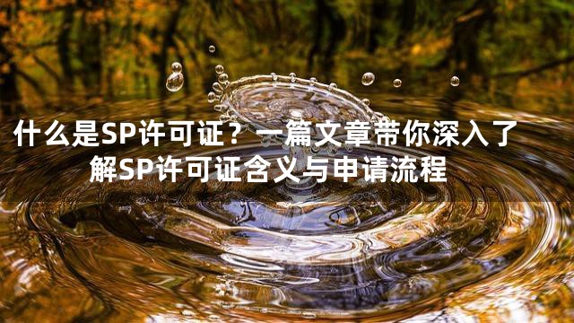 什么是SP许可证？一篇文章带你深入了解SP许可证含义与申请流程