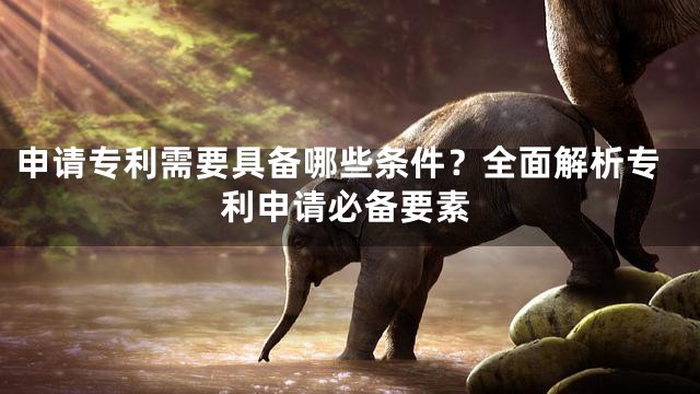 申请专利需要具备哪些条件？全面解析专利申请必备要素