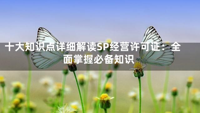 十大知识点详细解读SP经营许可证：全面掌握必备知识