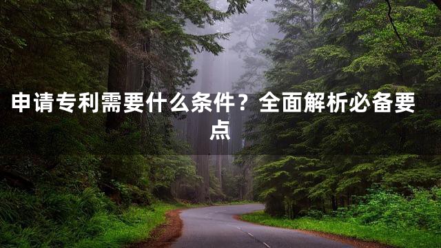 申请专利需要什么条件？全面解析必备要点