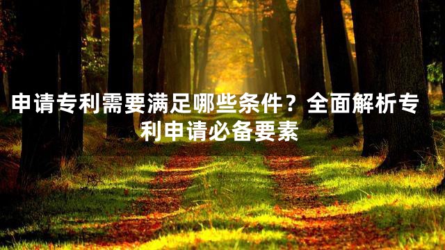 申请专利需要满足哪些条件？全面解析专利申请必备要素