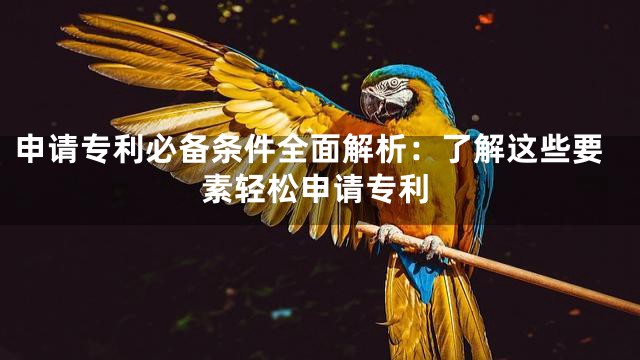 申请专利必备条件全面解析：了解这些要素轻松申请专利