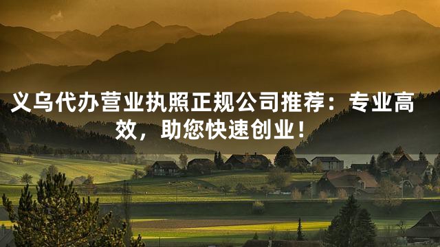 义乌代办营业执照正规公司推荐：专业高效，助您快速创业！