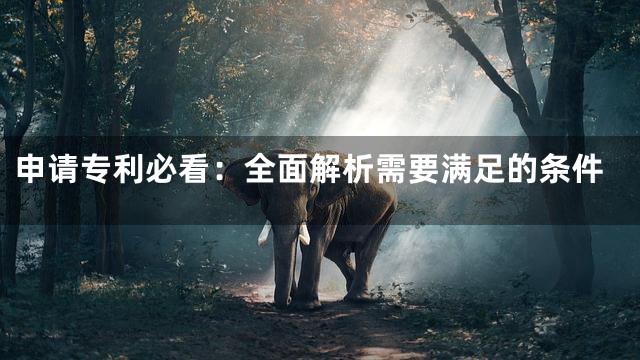 申请专利必看：全面解析需要满足的条件